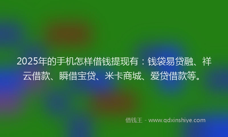 2025年的手机怎样借钱提现有：钱袋易贷融、祥云借款、瞬借宝贷、米卡商城、爱贷借款等。