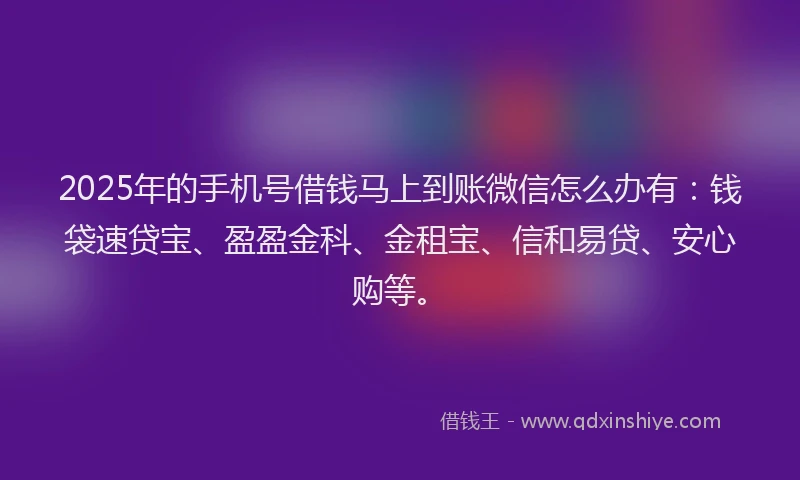 2025年的手机号借钱马上到账微信怎么办有：钱袋速贷宝、盈盈金科、金租宝、信和易贷、安心购等。