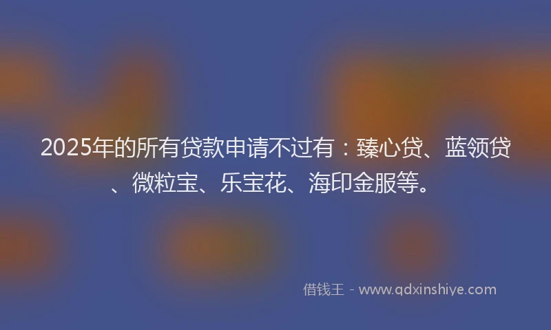 2025年的所有贷款申请不过有：臻心贷、蓝领贷、微粒宝、乐宝花、海印金服等。