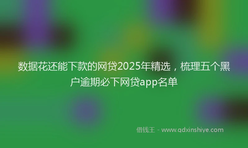 数据花还能下款的网贷2025年精选，梳理五个黑户逾期必下网贷app名单