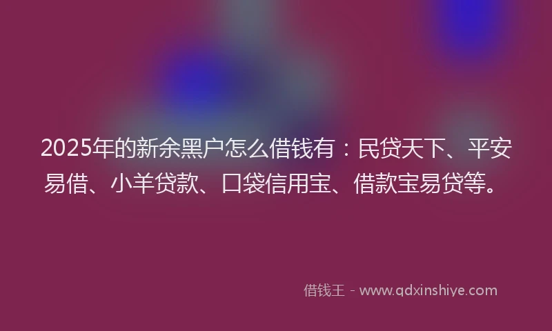 2025年的新余黑户怎么借钱有：民贷天下、平安易借、小羊贷款、口袋信用宝、借款宝易贷等。