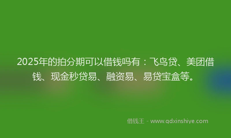 2025年的拍分期可以借钱吗有：飞鸟贷、美团借钱、现金秒贷易、融资易、易贷宝盒等。
