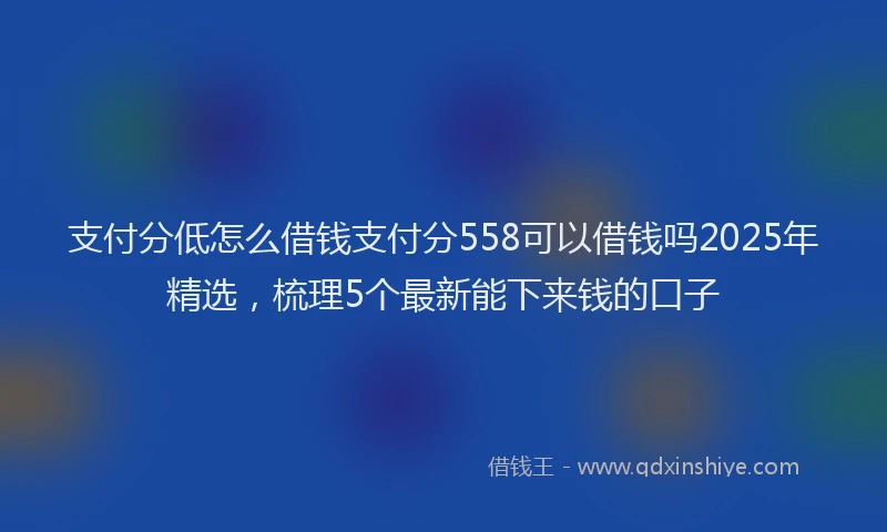 支付分低怎么借钱支付分558可以借钱吗2025年精选，梳理5个最新能下来钱的口子