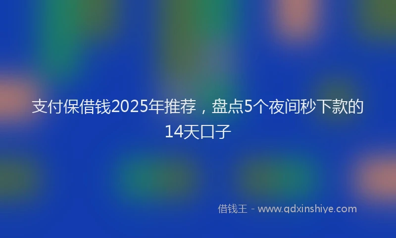 支付保借钱2025年推荐，盘点5个夜间秒下款的14天口子