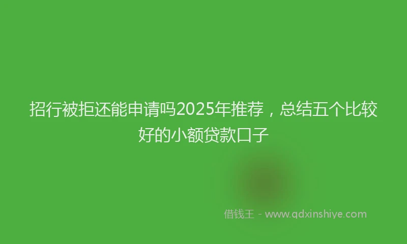 招行被拒还能申请吗2025年推荐，总结五个比较好的小额贷款口子