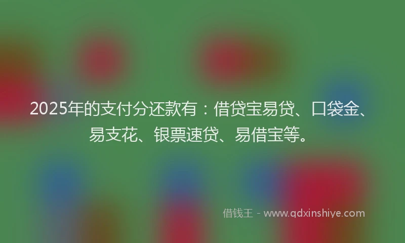 2025年的支付分还款有：借贷宝易贷、口袋金、易支花、银票速贷、易借宝等。