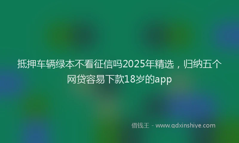 抵押车辆绿本不看征信吗2025年精选，归纳五个网贷容易下款18岁的app