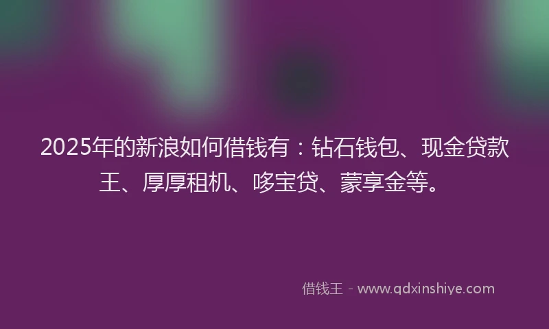 2025年的新浪如何借钱有：钻石钱包、现金贷款王、厚厚租机、哆宝贷、蒙享金等。