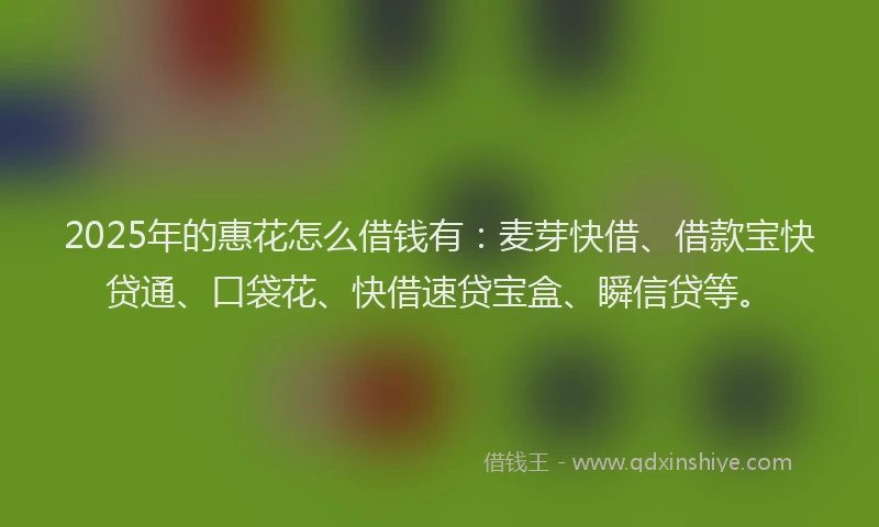 2025年的惠花怎么借钱有：麦芽快借、借款宝快贷通、口袋花、快借速贷宝盒、瞬信贷等。