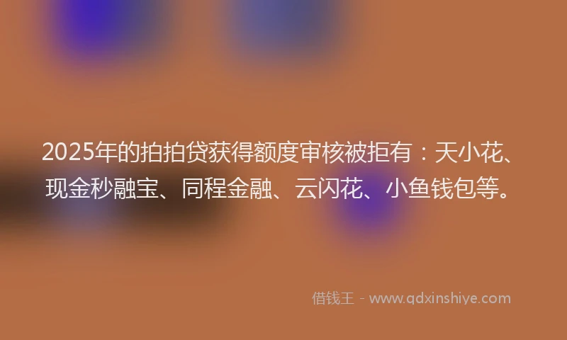 2025年的拍拍贷获得额度审核被拒有：天小花、现金秒融宝、同程金融、云闪花、小鱼钱包等。