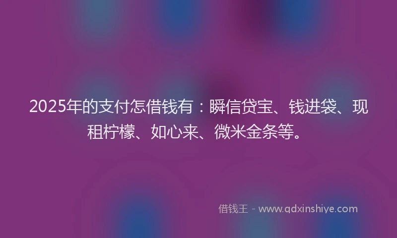 2025年的支付怎借钱有：瞬信贷宝、钱进袋、现租柠檬、如心来、微米金条等。