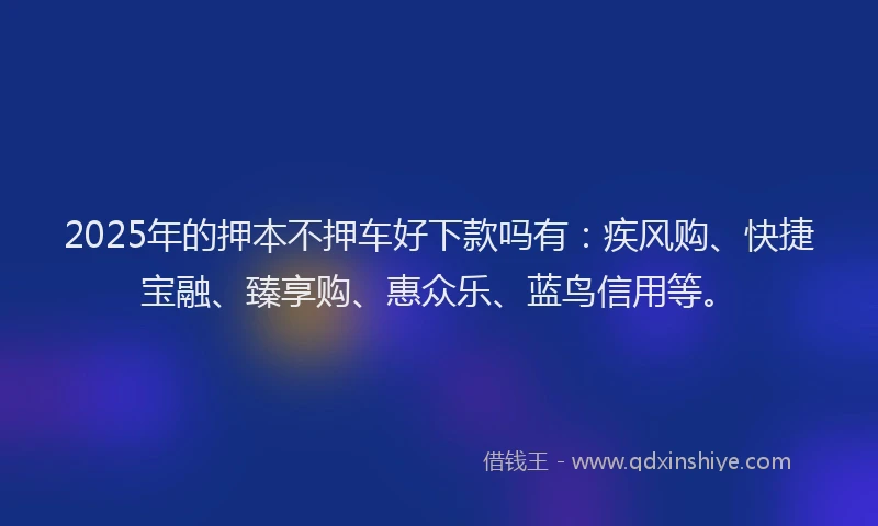 2025年的押本不押车好下款吗有：疾风购、快捷宝融、臻享购、惠众乐、蓝鸟信用等。