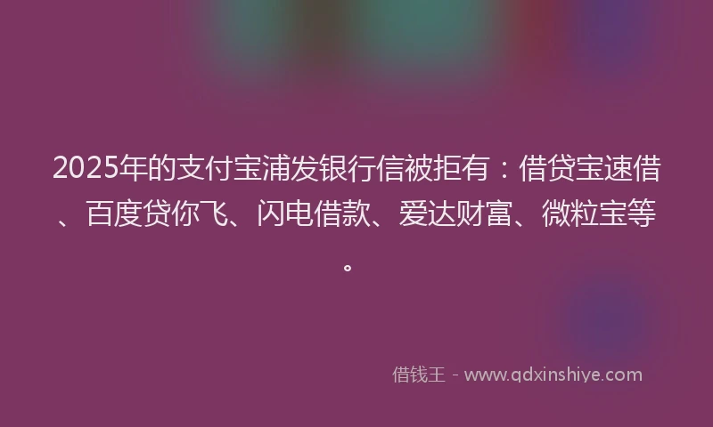 2025年的支付宝浦发银行信被拒有：借贷宝速借、百度贷你飞、闪电借款、爱达财富、微粒宝等。