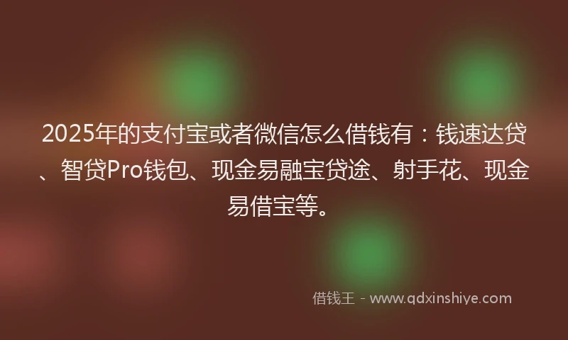 2025年的支付宝或者微信怎么借钱有：钱速达贷、智贷Pro钱包、现金易融宝贷途、射手花、现金易借宝等。