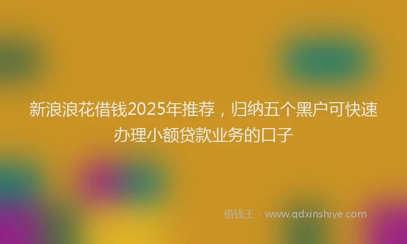 新浪浪花借钱2025年推荐，归纳五个黑户可快速办理小额贷款业务的口子
