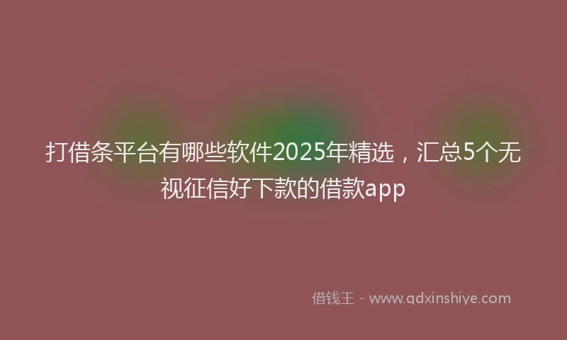 打借条平台有哪些软件2025年精选，汇总5个无视征信好下款的借款app