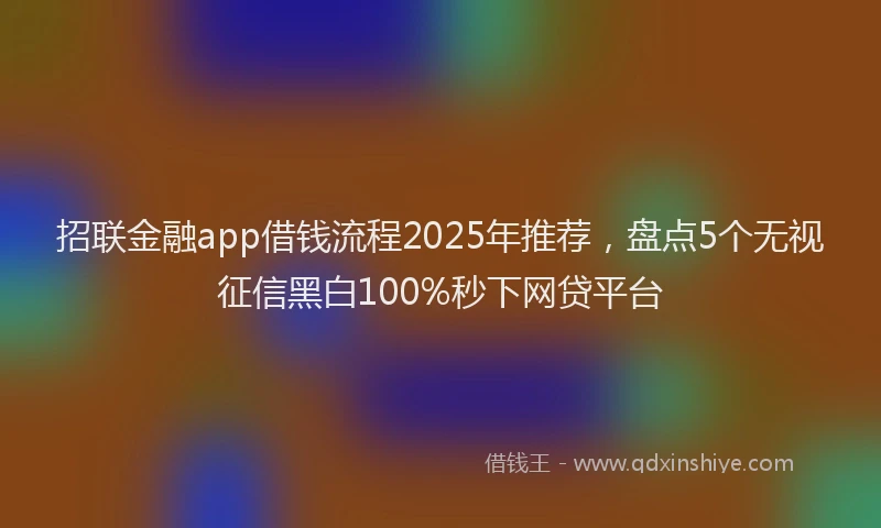 招联金融app借钱流程2025年推荐，盘点5个无视征信黑白100%秒下网贷平台