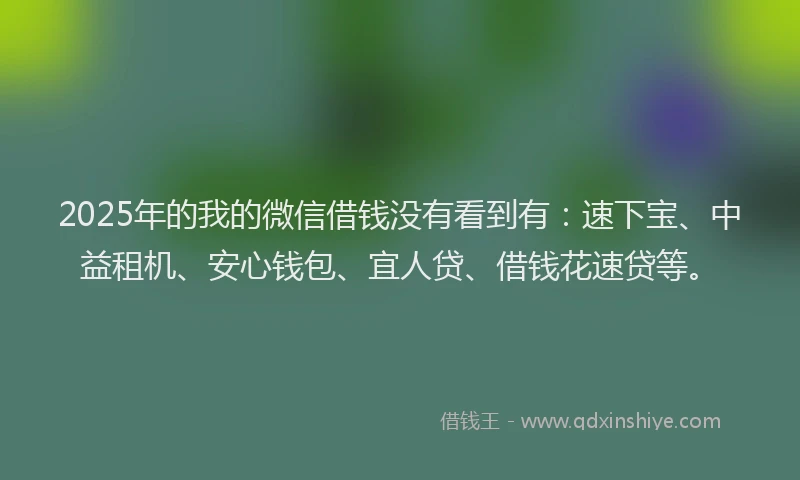 2025年的我的微信借钱没有看到有：速下宝、中益租机、安心钱包、宜人贷、借钱花速贷等。