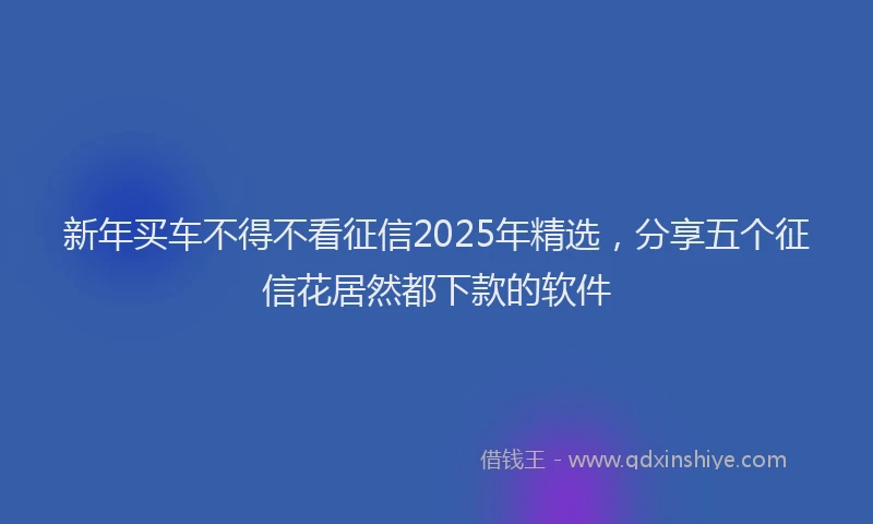 新年买车不得不看征信2025年精选，分享五个征信花居然都下款的软件