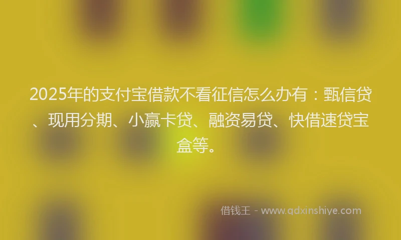 2025年的支付宝借款不看征信怎么办有：甄信贷、现用分期、小赢卡贷、融资易贷、快借速贷宝盒等。