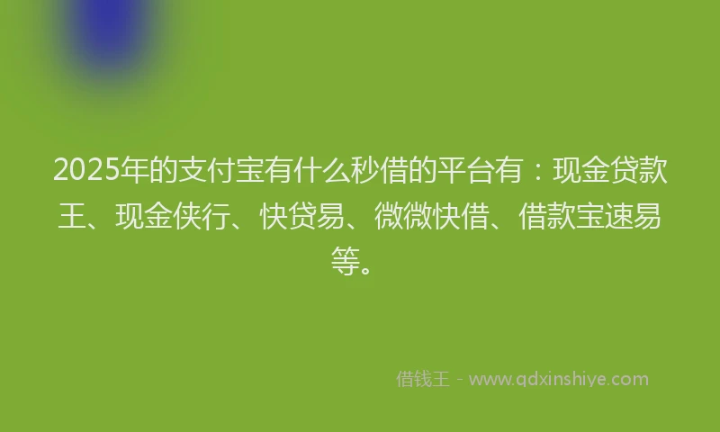 2025年的支付宝有什么秒借的平台有：现金贷款王、现金侠行、快贷易、微微快借、借款宝速易等。