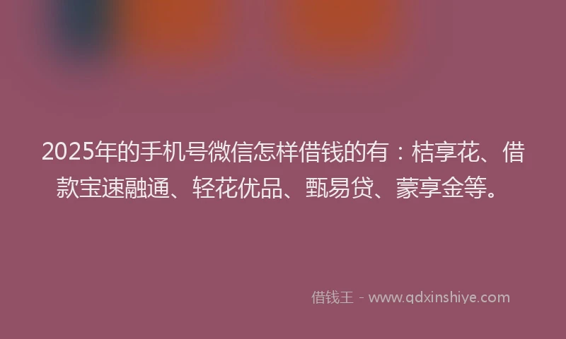 2025年的手机号微信怎样借钱的有：桔享花、借款宝速融通、轻花优品、甄易贷、蒙享金等。