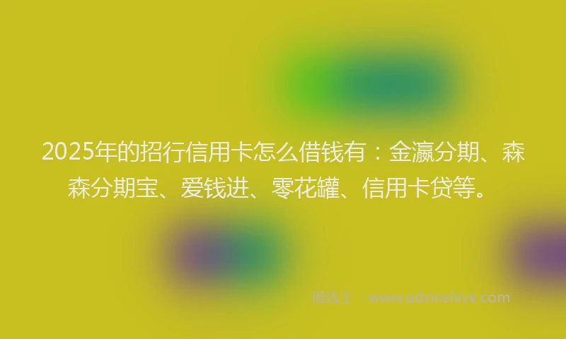2025年的招行信用卡怎么借钱有：金瀛分期、森森分期宝、爱钱进、零花罐、信用卡贷等。