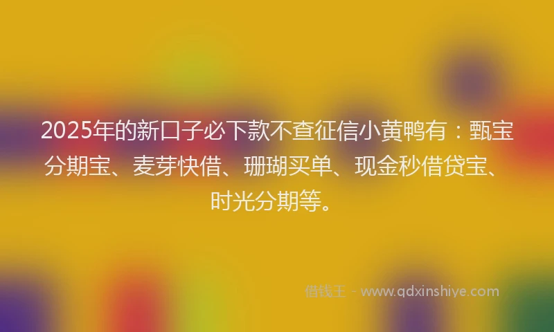 2025年的新口子必下款不查征信小黄鸭有：甄宝分期宝、麦芽快借、珊瑚买单、现金秒借贷宝、时光分期等。