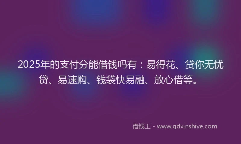 2025年的支付分能借钱吗有：易得花、贷你无忧贷、易速购、钱袋快易融、放心借等。