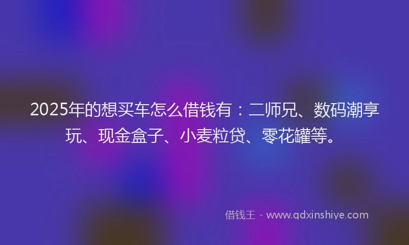 2025年的想买车怎么借钱有：二师兄、数码潮享玩、现金盒子、小麦粒贷、零花罐等。