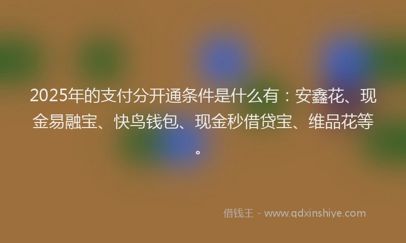 2025年的支付分开通条件是什么有：安鑫花、现金易融宝、快鸟钱包、现金秒借贷宝、维品花等。