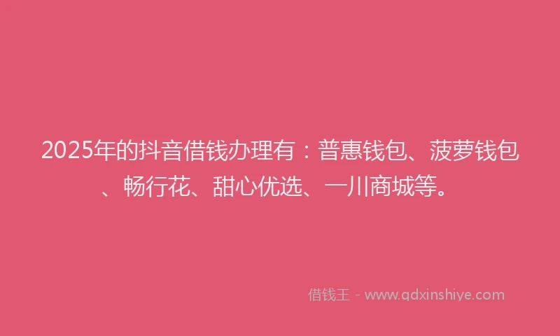 2025年的抖音借钱办理有：普惠钱包、菠萝钱包、畅行花、甜心优选、一川商城等。