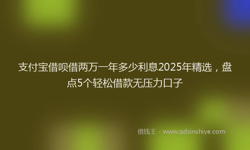 支付宝借呗借两万一年多少利息2025年精选，盘点5个轻松借款无压力口子