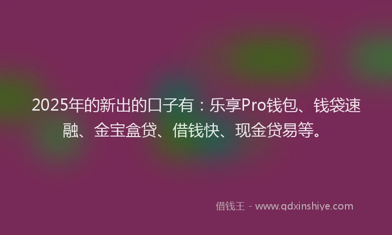 2025年的新出的口子有：乐享Pro钱包、钱袋速融、金宝盒贷、借钱快、现金贷易等。