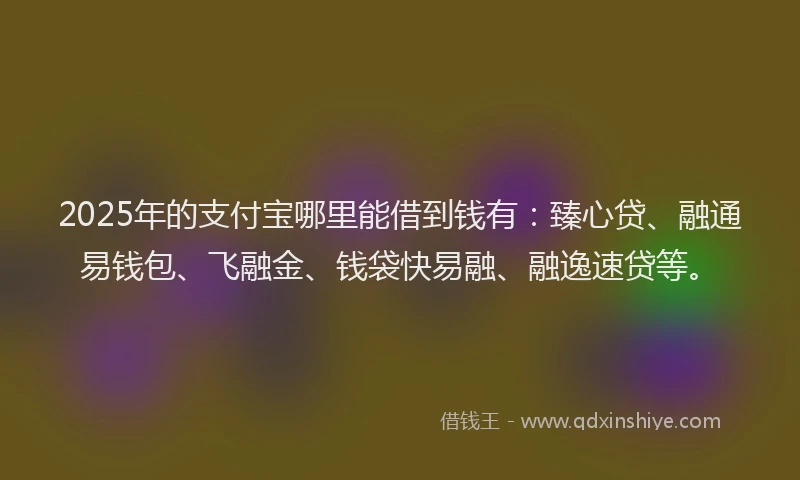 2025年的支付宝哪里能借到钱有：臻心贷、融通易钱包、飞融金、钱袋快易融、融逸速贷等。