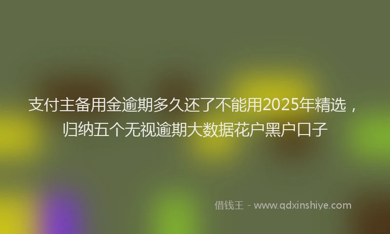 支付主备用金逾期多久还了不能用2025年精选，归纳五个无视逾期大数据花户黑户口子