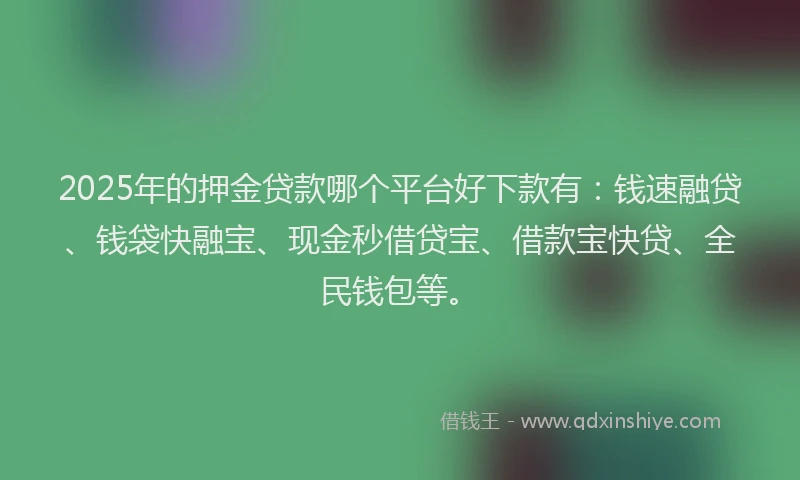 2025年的押金贷款哪个平台好下款有：钱速融贷、钱袋快融宝、现金秒借贷宝、借款宝快贷、全民钱包等。