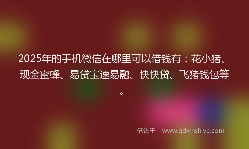 2025年的手机微信在哪里可以借钱有：花小猪、现金蜜蜂、易贷宝速易融、快快贷、飞猪钱包等。