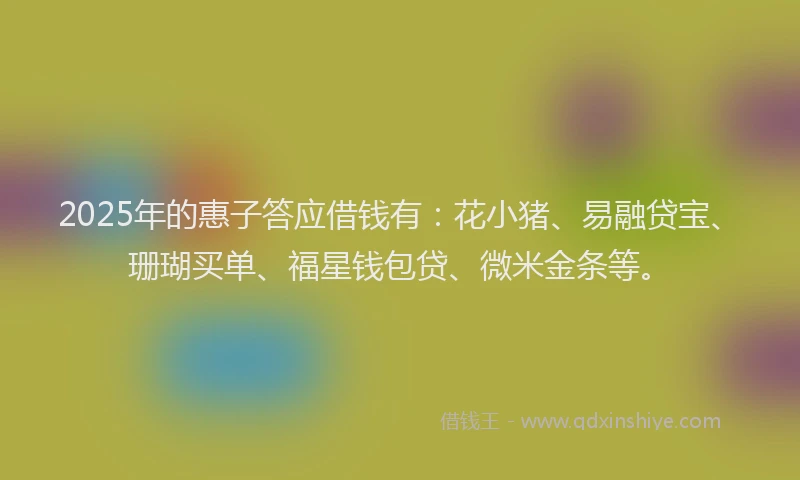 2025年的惠子答应借钱有：花小猪、易融贷宝、珊瑚买单、福星钱包贷、微米金条等。