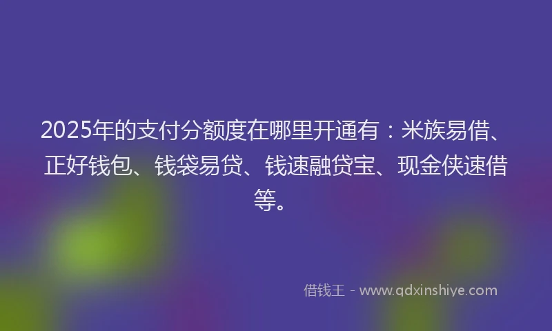 2025年的支付分额度在哪里开通有：米族易借、正好钱包、钱袋易贷、钱速融贷宝、现金侠速借等。