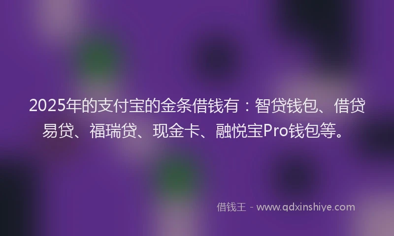 2025年的支付宝的金条借钱有：智贷钱包、借贷易贷、福瑞贷、现金卡、融悦宝Pro钱包等。