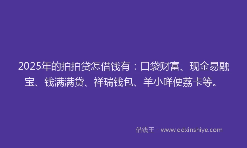 2025年的拍拍贷怎借钱有：口袋财富、现金易融宝、钱满满贷、祥瑞钱包、羊小咩便荔卡等。