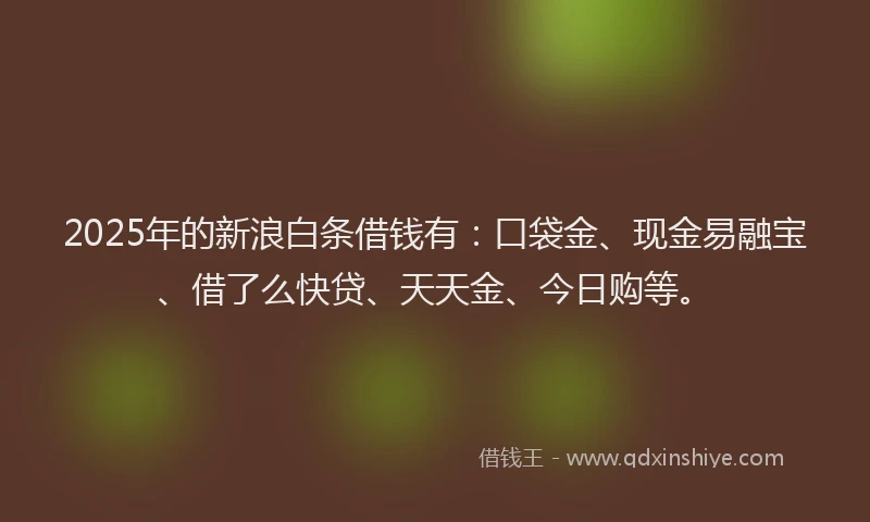 2025年的新浪白条借钱有：口袋金、现金易融宝、借了么快贷、天天金、今日购等。