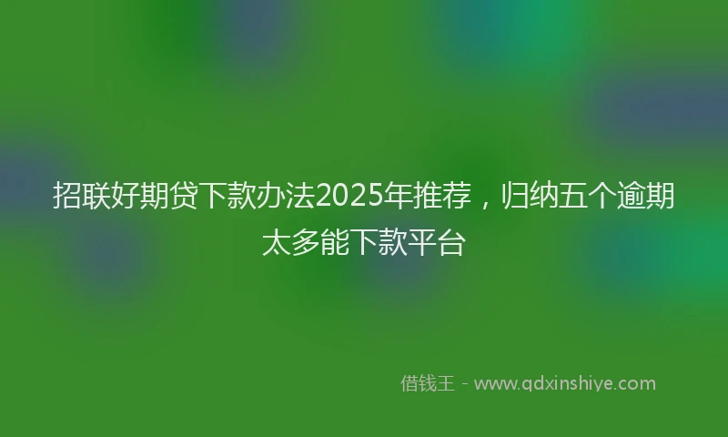 招联好期贷下款办法2025年推荐，归纳五个逾期太多能下款平台