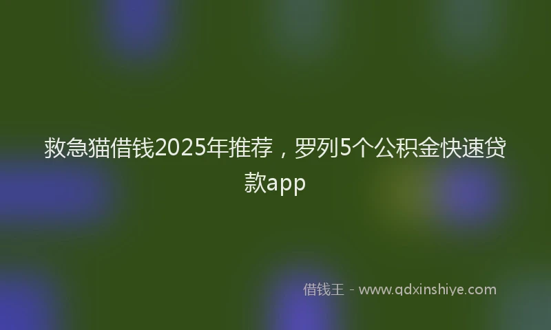 救急猫借钱2025年推荐，罗列5个公积金快速贷款app