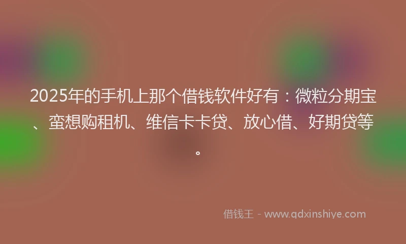 2025年的手机上那个借钱软件好有：微粒分期宝、蛮想购租机、维信卡卡贷、放心借、好期贷等。