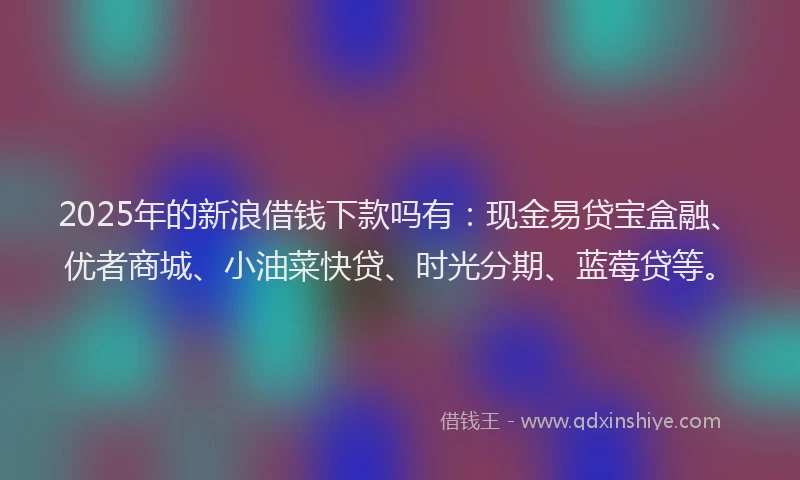 2025年的新浪借钱下款吗有：现金易贷宝盒融、优者商城、小油菜快贷、时光分期、蓝莓贷等。