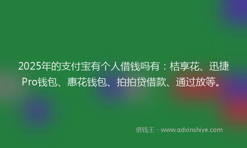 2025年的支付宝有个人借钱吗有：桔享花、迅捷Pro钱包、惠花钱包、拍拍贷借款、通过放等。