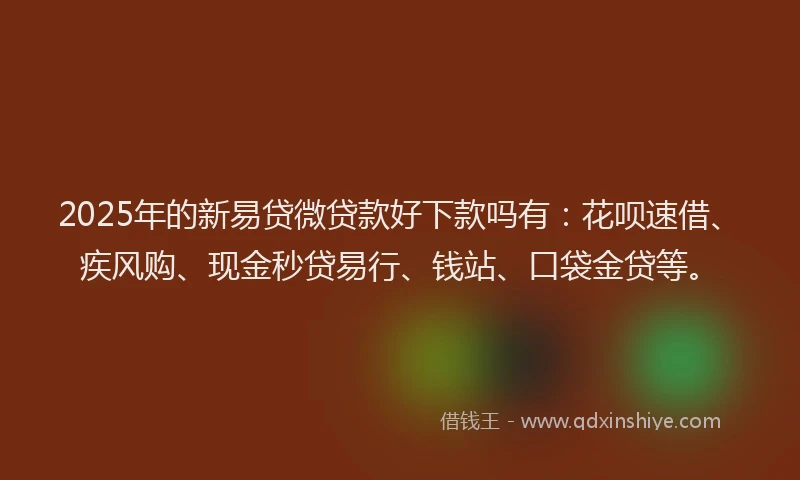 2025年的新易贷微贷款好下款吗有：花呗速借、疾风购、现金秒贷易行、钱站、口袋金贷等。