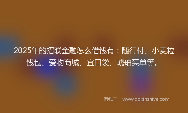 2025年的招联金融怎么借钱有：随行付、小麦粒钱包、爱物商城、宜口袋、琥珀买单等。